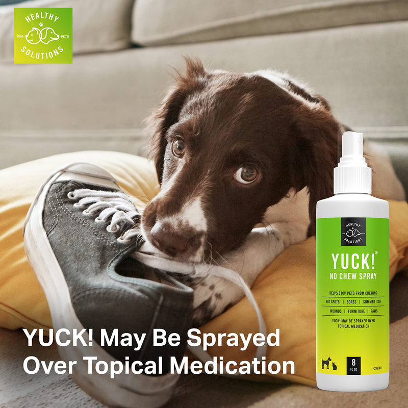 Bitter Spray for Dogs - No Chew Spray - Best No Bite Spray for Dog, Puppies, & Cats - Stop Pets from Chewing on Furniture, Paw, Wounds & More - Water Based Formula Does Not Sting or Stain - PawsPlanet Australia