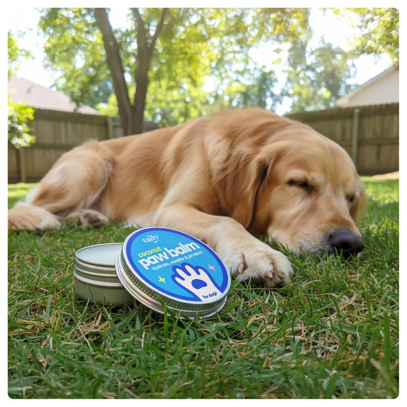 Taily Premium Pet Balm Lick-Safe Dog Paw & Nose Balm with Coconut Oil | All-Natural Moisturizer & Soother for Dry, Cracked Pads & Snout | 60 g