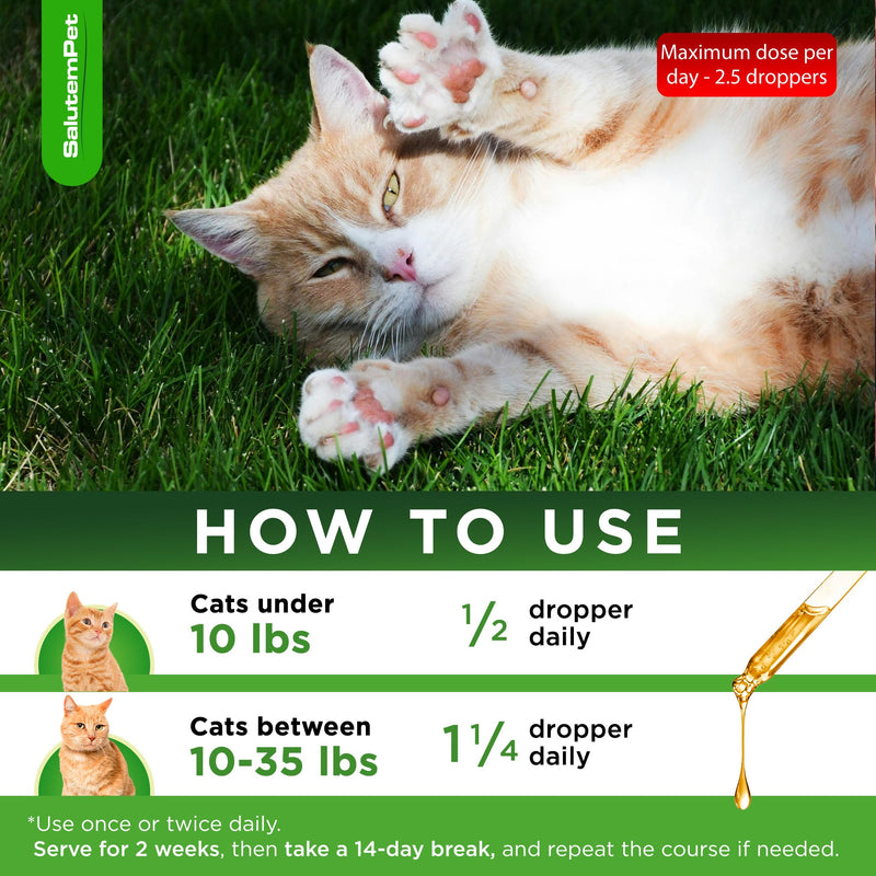 Cat Antibiotic in Drops – Natural Antibiotics for Cats with Chicken Flavor Help with UTI, Cough, Allergies – Safe for Pets and Breeds – 2-oz Bottle with a Pendant Included Herbal Antibiotic for Cats 2 Fl Oz
