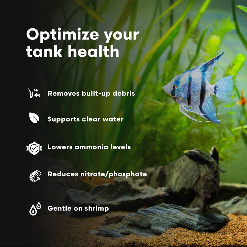 Brightwell Aquatics ShrimpFlorinBacter Clean Copper-Free Enzyme Microbe Formula Reduces Waste Nutrients Loosens Debris in Freshwater Planted Shrimp Tanks, 250 ml 250-ml