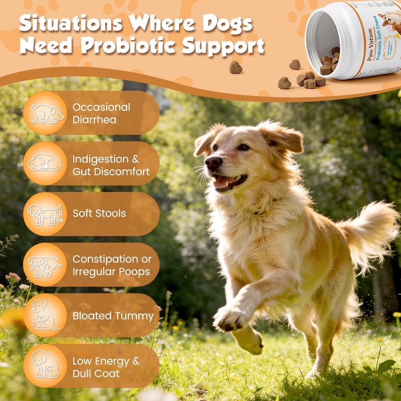 Probiotics for Dogs, Dog Probiotics for Digestive Health, with Vitamins and Fiber, for Gut and Upset Stomach, 200 Chews Supplement