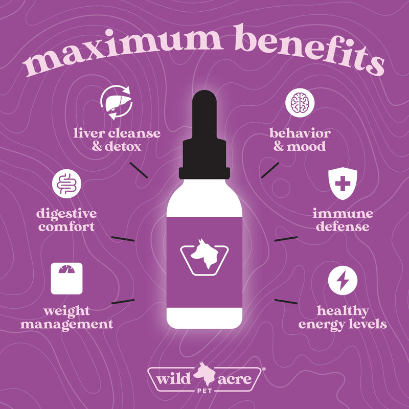 Milk Thistle for Dogs - Max Strength Liver Support, Cleanse & Detox - Natural Bacon Flavor - Simply Add to Food - Picky Pup Approved, 2 oz (60mL) - PawsPlanet Australia