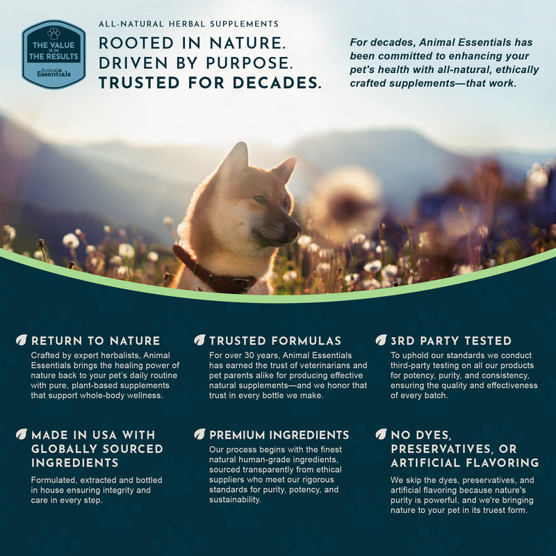 Animal Essentials Nettle Herbal Extract 1 fl oz Bottle
