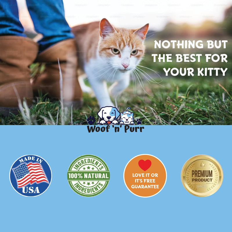 Cat Multivitamin - Promotes Healthy Skin & Coat, Joint Support, Longevity & More - Cat Vitamins - Cat Supplements & Vitamins - Cat Vitamins for Indoor Cats - Kitten Vitamins - Cat Immune Support - 1oz - PawsPlanet Australia
