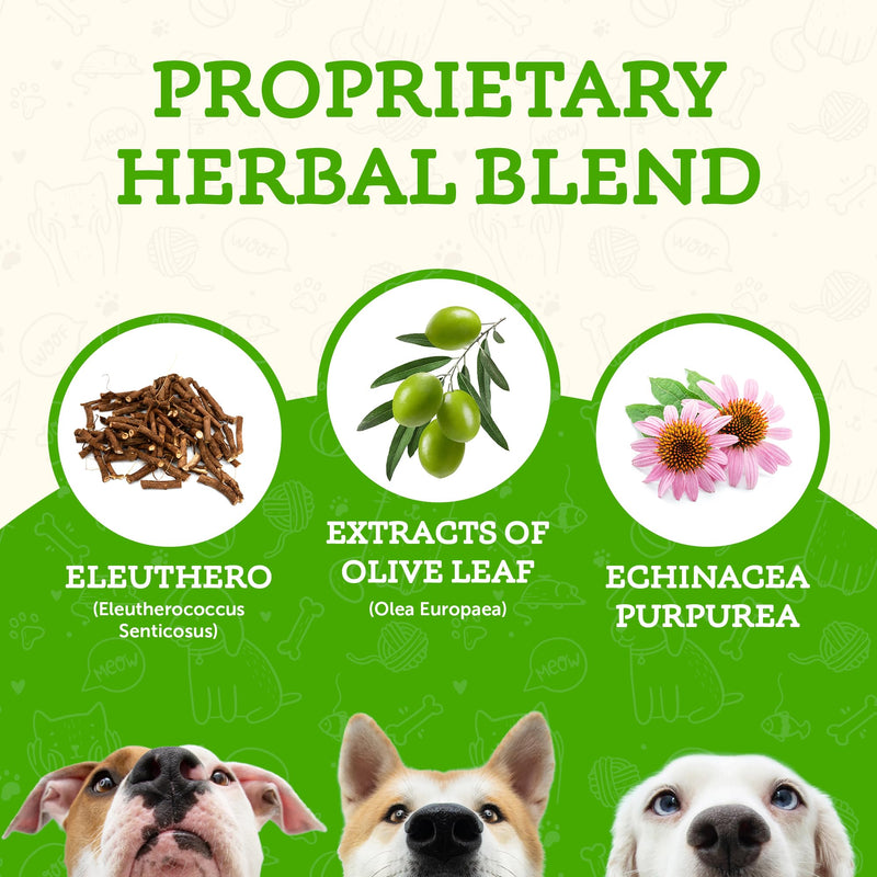 Animal Essentials Super Immune for Dogs & Cats - Immunity Support Supplement, Echinacea, Eleuthero, Olive Leaf Extract, Liquid Drops - 2 Fl Oz 2 fl oz (60 ml) - PawsPlanet Australia