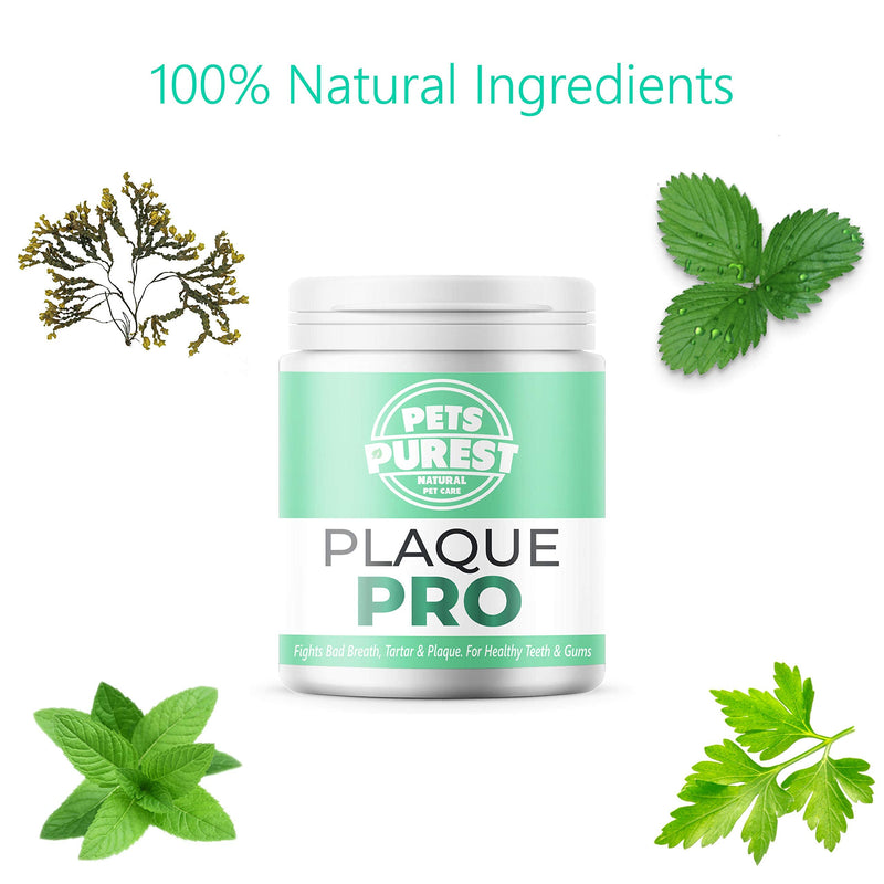 Pets Purest Plaque Off Powder - Plaque Pro Tartar & Plaque Remover for Dogs, Cats & Pet. 100% Natural Bad Breath, Teeth & Gum Disease Oral Health Hygiene Dental Care Formula - 180g - PawsPlanet Australia