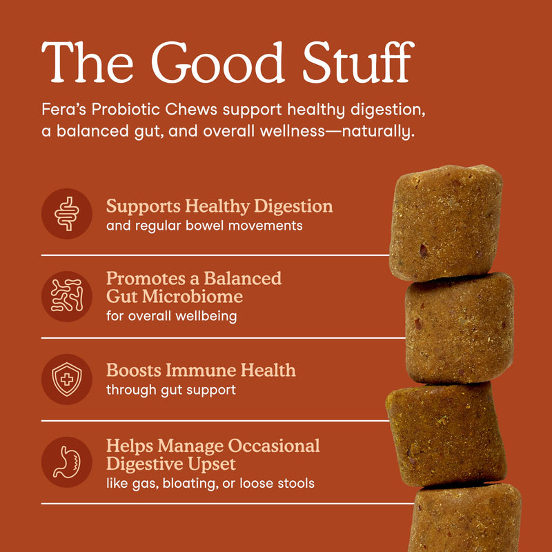 Fera Pets Probiotics for Dogs with Prebiotics and Postbiotics - Full Spectrum Gut Health Support - Promotes a Balanced Gut Microbiome - Boosts Immune Health - 90 Soft Chews 90 Chews