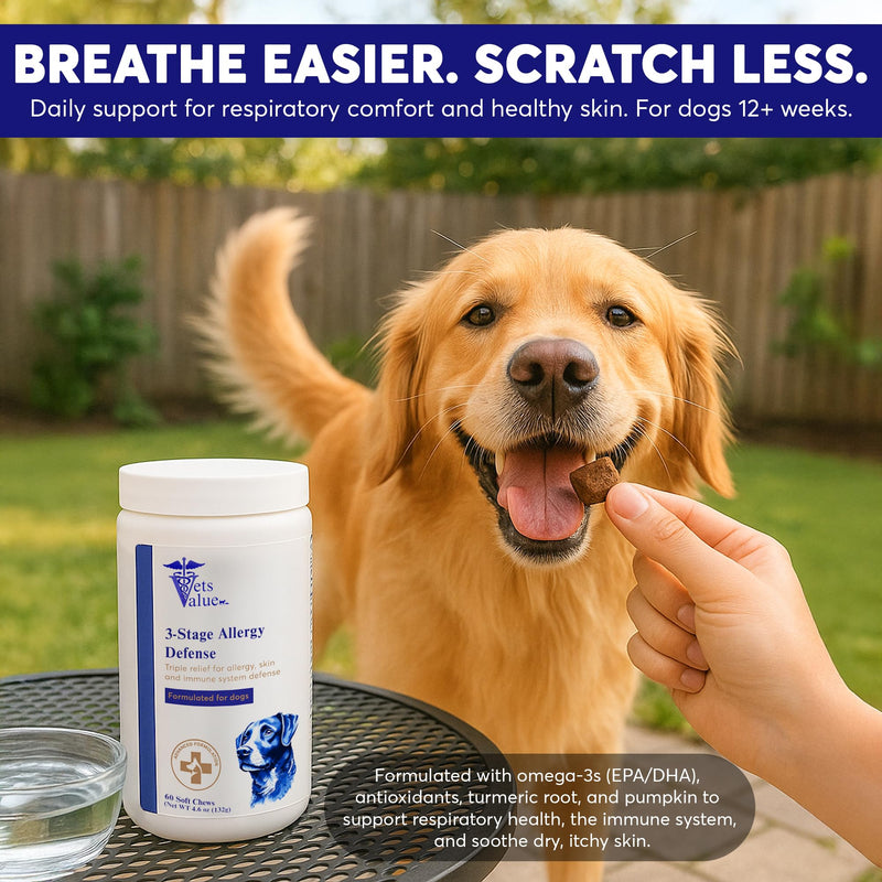 Allergy Aid Soft Chews for Dogs – with Quercetin, Bromelain, Turmeric, Grape Seed, and Fish Oil – 60 Soft Chews | Supports Seasonal Skin, Coat, and Immune Health