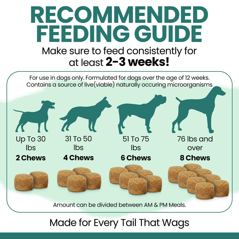 Dog Multivitamin Chewable - Chew + Heal 12-in-1, 60 Ct, Puppy, Senior Dog Vitamins & Supplements for Hip & Joint, Skin, Coat, Immune Support with Glucosamine, Omega 3,6,9, Probiotics, Chicken Flavor 60 Count