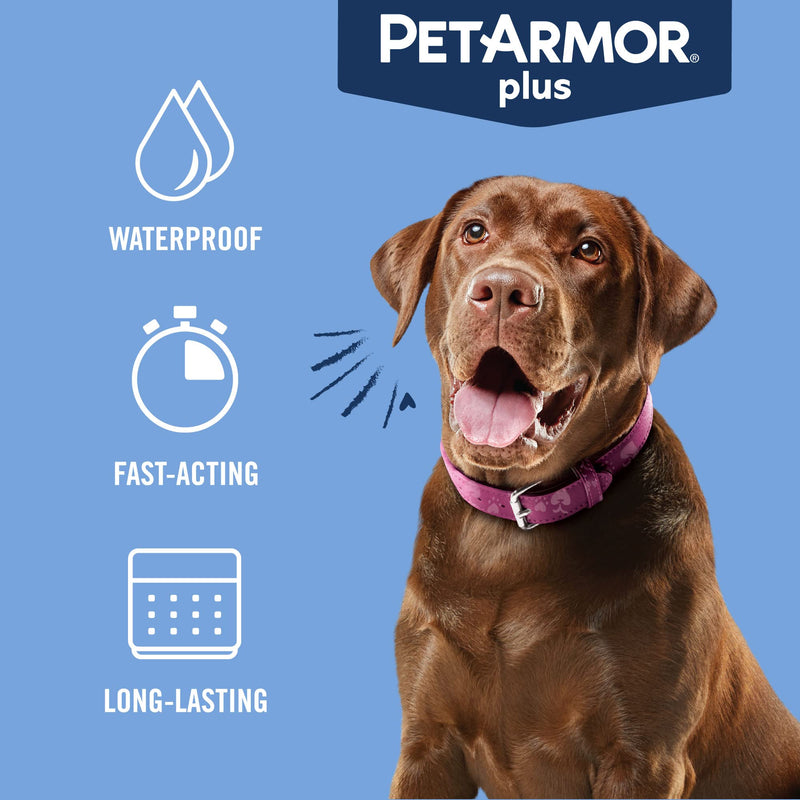 PetArmor Plus Flea and Tick Prevention for Dogs, Large Dog Flea and Tick Treatment, 6 Doses, Waterproof Topical, Fast Acting (45-88 lbs) 45-88 lbs 6 Count
