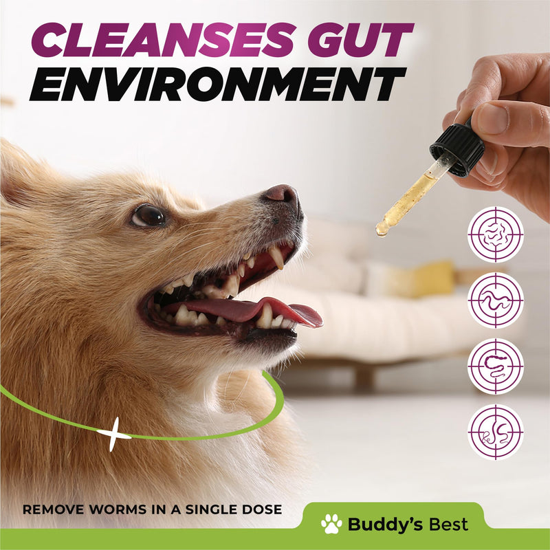 Natural Dewormer for Dogs | 100% Natural | Contains 3 Medicinal Herbs | Supports Intestinal & Gut Health | Gentle & Effective Formula - PawsPlanet Australia