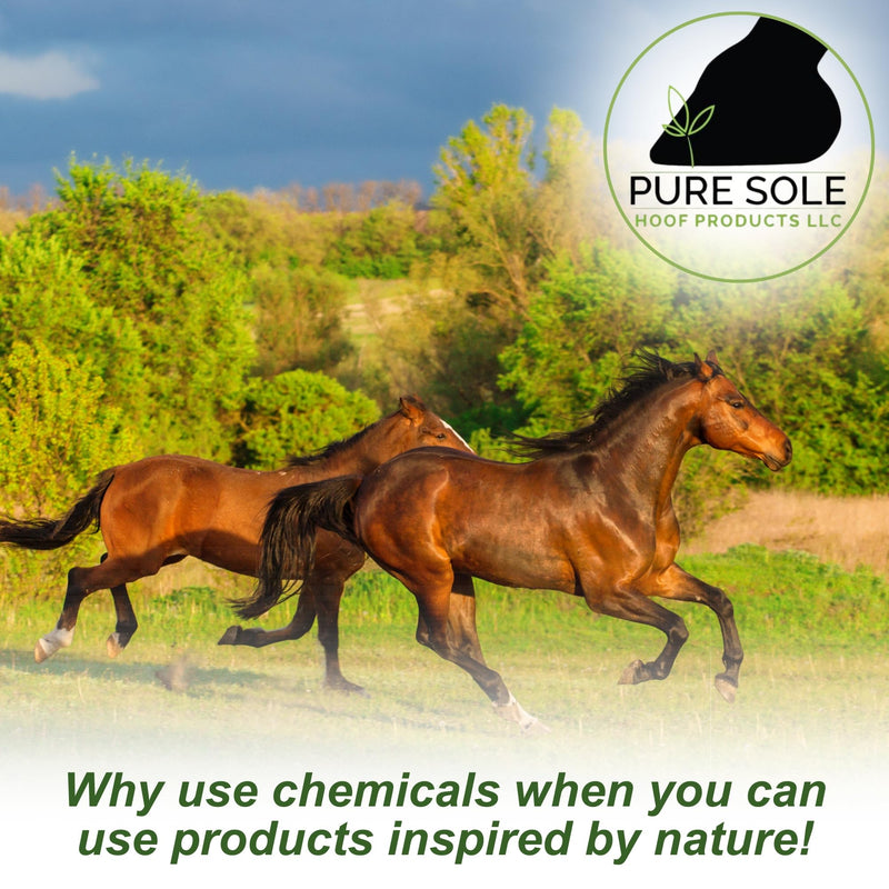 Pure Sole Severe Thrush Treatment for Horses - Hoof Cleanse (16 oz.) and Thrush Dust (4 oz.) Bundle