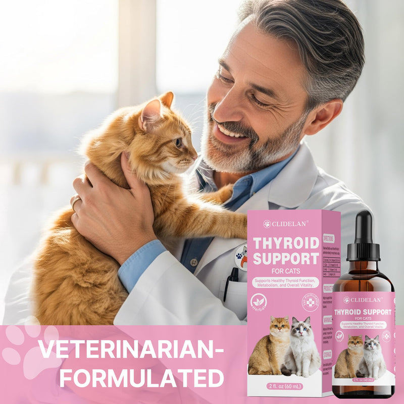 Herbal Thyroid Support – Promotes Healthy Metabolism & Energy, with Rehmannia Root Extract & Lemon Balm – Natural Liquid Supplement for Appetite & Weight Maintenance