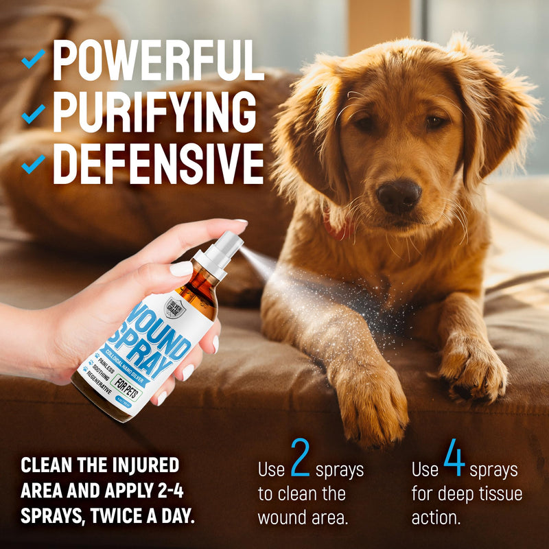 SILVER GRADE Wound Spray Hot Spot Treatment for Dogs, Cats, Pets – Better Use with a Dog Cone – Help with Itching, Irritation, Scratches, Rashes, Bites – Safe Composition – 3 Oz White with blue elements