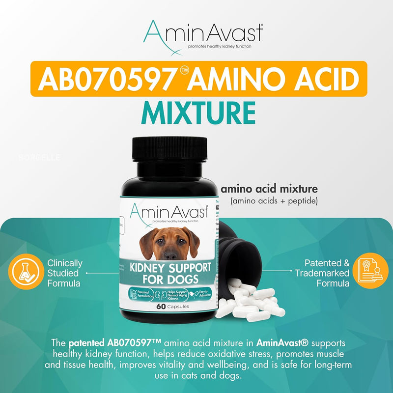 AminAvast Kidney Support Supplement for Cats and Dogs, 1000mg - Promotes Natural Kidney Function - Aids in Health and Vitality of Aging Kidneys - Easily Administered - 60 Sprinkle Capsules - NewNest Australia