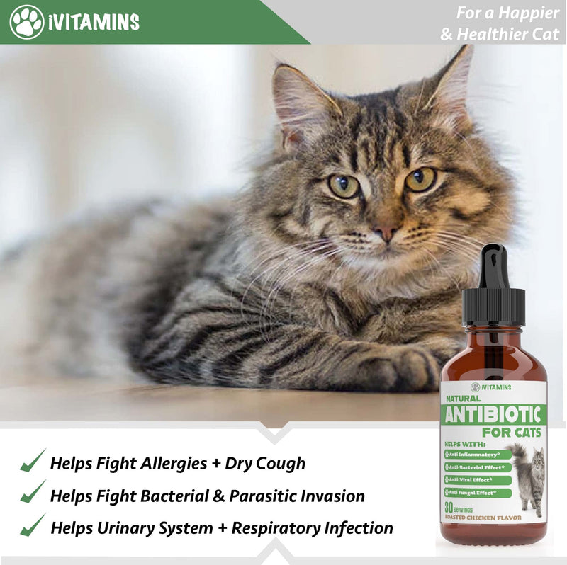 Natural Antibiotics for Cats | Cat Supplements | Cat Antibiotic | Cat Antibiotics | Cat Immune Support | Antibiotic for Cats | Cat Multivitamin | Multivitamin for Cats | 1 Pack: 30 Servings Total - PawsPlanet Australia