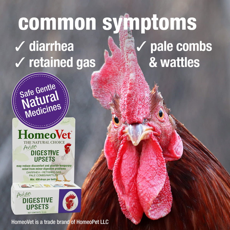 HomeoPet Avian Digestive Upsets, Safe and Natural Digestive Support for Poultry and Pet Birds, Bird Supplement, 15 Milliliters - PawsPlanet Australia