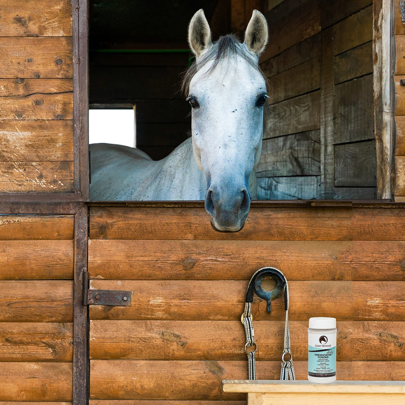 Coat Defense Daily Preventative Powder for Horses - Safe & Effective Equine Sweet Itch, Skin Funk, Scratches, & Rain Rot Treatment - Dry Shampoo for Horses, 8 oz Formula with All Natural Ingredients - PawsPlanet Australia