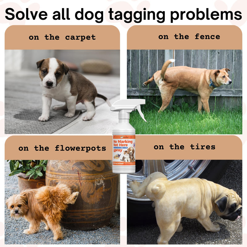 16oz Effective Solution for Training Dogs to Avoid Indoor Marking, Stop Dog Urinating in House with No More Peeing, Safe Don't Pee Here Dogs Marking Wrong 16.0 Fl Oz