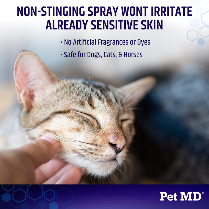 Pet MD Hydrocortisone Spray for Dogs, Cats, Horses - Itch Relief Spray & Hot Spot Treatment for Dogs, Irritated Dry Itchy Skin, Allergies, and Dermatitis - Reduces Topical Inflammation - 4 oz - PawsPlanet Australia