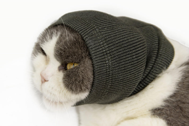 Cat Snood Ear Muffs,Calm Head Covers Blow Drying-Anxiety & Stress Relief - Cat Ear Wrap Injury Grey S Small