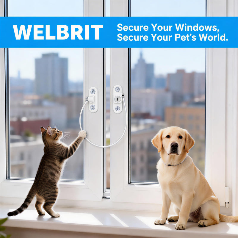 Window Restrictor Locks,Door and Window Opening Restrictor,Sliding Window Security Locks with Keys,Suitable for Home, Office, Hotel, Factory, and Other Anti-Theft Security, with Box 5pcs Black