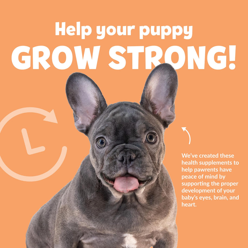 Snuggle Puppy Puppy Bites Grow Strong Supplement - Dog Soft Chews for Overall Health - Omega 3 Supplement for Dog Health - Fish Oil Chews for Dogs - 60 Soft Chews - PawsPlanet Australia