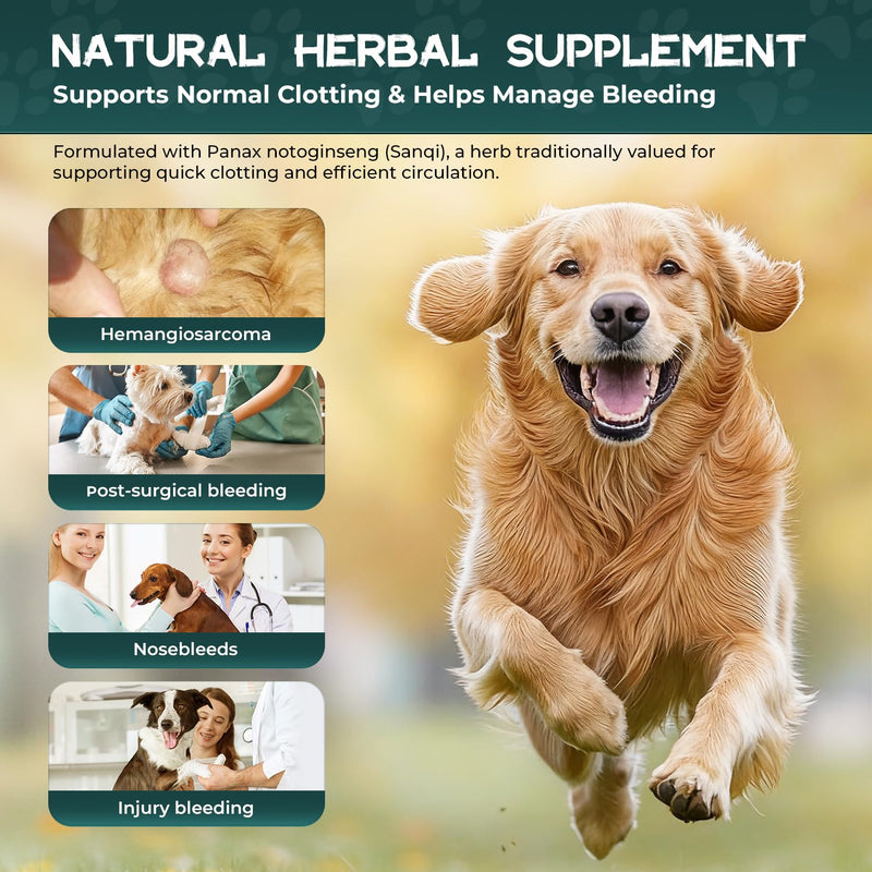 Quick Stop Bleeding for Dogs, Yunnan Sanqi Powder Supplement for Hemangiosarcoma, Nose Bleed, Hemoabdomen, Bloody Stools, Pericardial Effusion, Cancer Bleeding, Clotting&Circulation