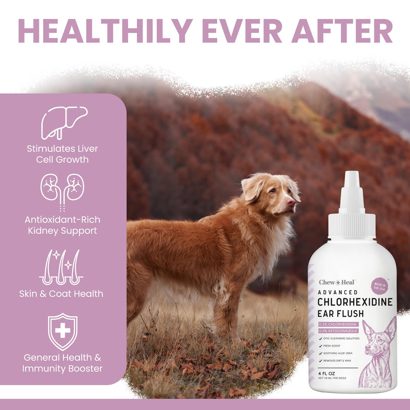 Chew + Heal Labs Dog Ear Cleaner - Medicated Dog Ear Buildup Drops for Dirt and Wax - 4 oz Advanced Flush with Chlorohexidine and Ketoconazole - Made in the USA 4oz