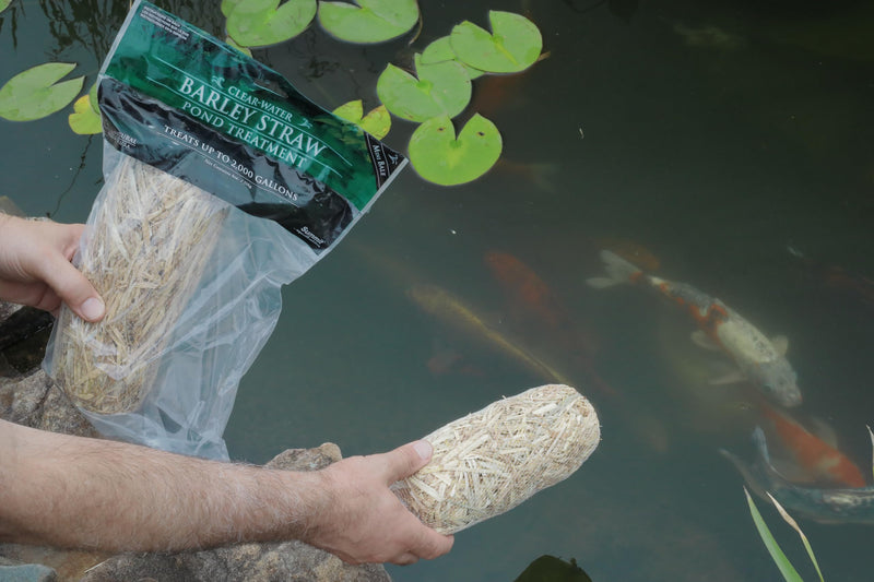 Summit Clear-Water Barley Straw Pond Treatment, 2-Pack, Treats upto 2000 Gallons, 1000 Gallons per Bale Treats 2000 Gallons