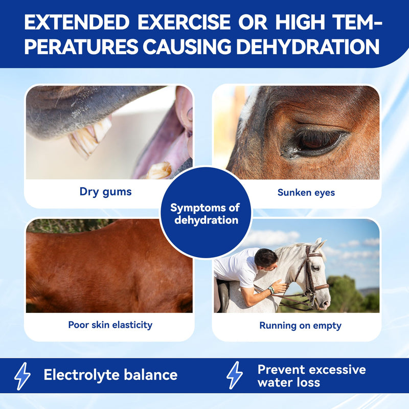 Horse Electrolytes Powder, Electrolyte for Horses with Sodium & Potassium, Equine Hydration Supplement 420g Box