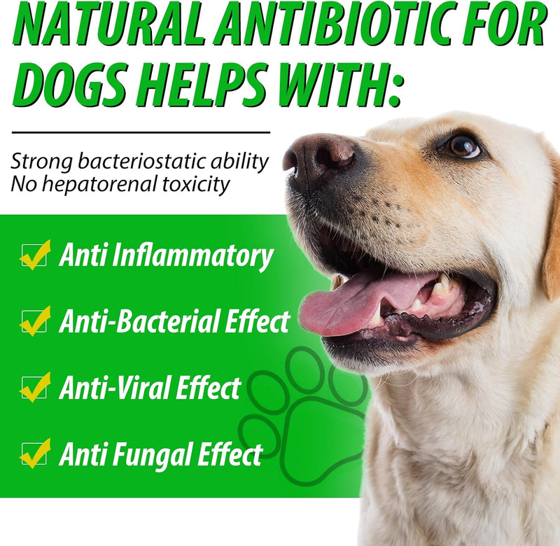 Antibiotics for Dogs, Natural Antibiotics for Dogs, Dog Antibiotics for Infection Supports Immune & Dogs Allergy Relief, Dog Multivitamin UTI Drops Natural Supplement for All Ages & Breeds-2PCS 2PCS