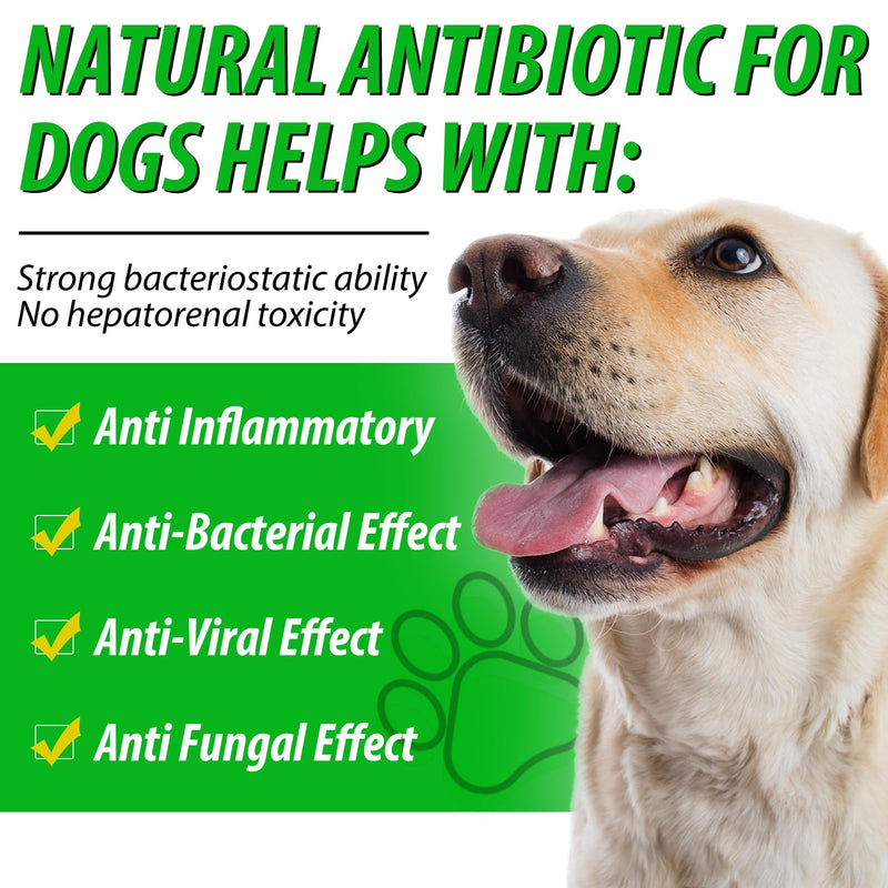 Natural Antibiotics for Dogs, Pet Supplements, 2 Fl Oz / 1 Pack Dogs Multivitamin, Dog Antibiotic, Supports Dog Allergy Itch Relief, Bacon Flavor