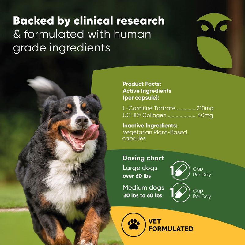 Joint and Muscle Health - Hip and Joint Supplement for Dogs with UC-II Type II Collagen and L-Carnitine - Medium and Large Dog Joint Supplement - 30/ct - PawsPlanet Australia