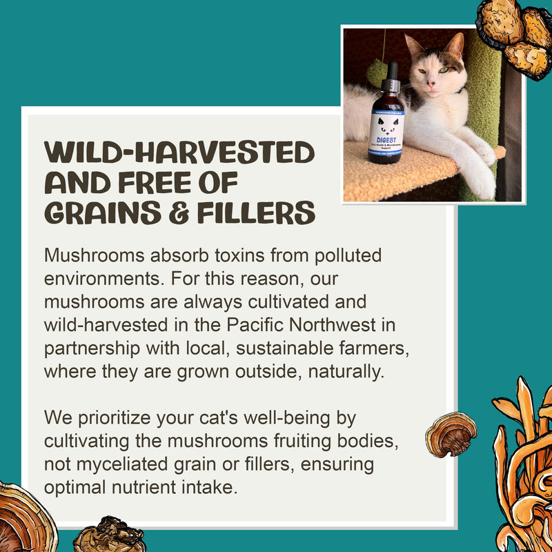 MycoCat Digest - Mushroom Extract & Adaptogen Tincture Cat Supplement - Cat Digestive Support Blend - Roots, Herbs, & Mushroom Extracts Including Chaga, Shiitake, & Turkey Tail