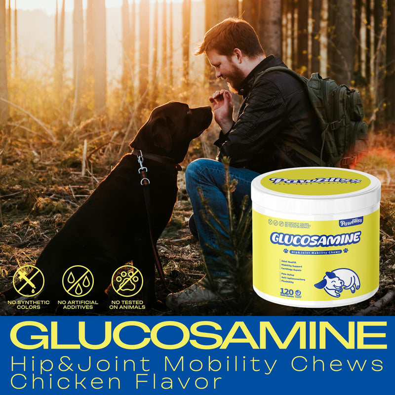 Glucosamine Joint Supplement for Dogs Joint Pain Relief – Glucosamine Chondroitin MSM & Turmeric Hip & Joint Support Chews for Large & Senior Dogs – 120 Ct Glucosamine chew