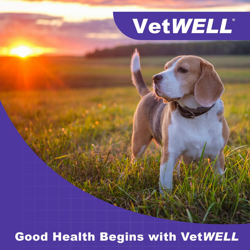 VetWELL Hydrocortisone Spray for Dogs & Cats - Itchy Skin Relief from Hot Spots, Bites, Scrapes, Irritated Skin, & Dermatitis - 4 oz Anti Itch Spray with Pramoxine - PawsPlanet Australia