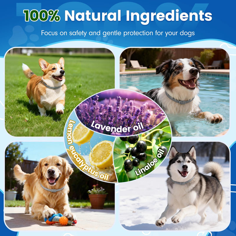 KOOSA Flea and Tick Collar for Dogs, 3 Packs Flea Collar for Dogs with Natural Essential Oils, Waterproof & Adjustable Flea and Tick Prevention Collar for Small Medium Large Dogs & Puppies, Grey 07