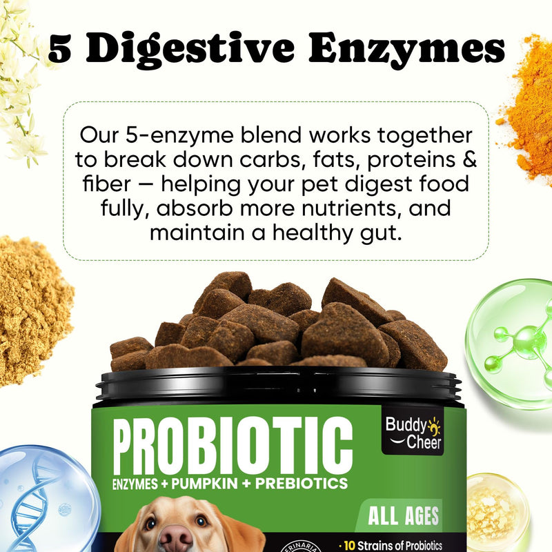 Digestive & Skin Support Chews + Dental Care Powder - Probiotics with Enzymes for Gut Comfort & Itch Ease, Tartar Control & Fresh Breath for Dogs & Cats - 180 Chews + 150g Powder
