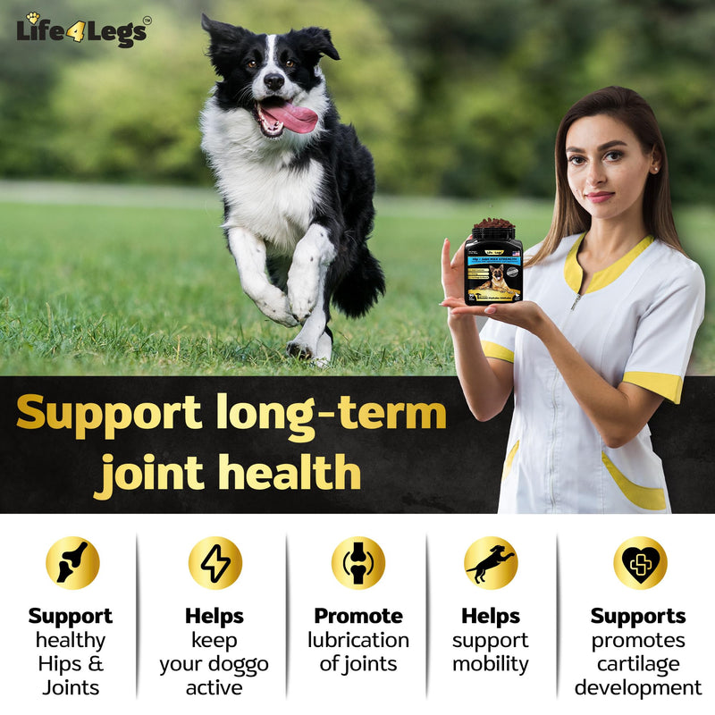 Soft Chews Hip and Joint Supplement for Dogs - Dog Joint Pain Relief Treats - Glucosamine, Chondroitin, Turmeric- Mobility Bites Supplement Hip and Joint Max Strength Bacon - 30 Soft Chews - PawsPlanet Australia