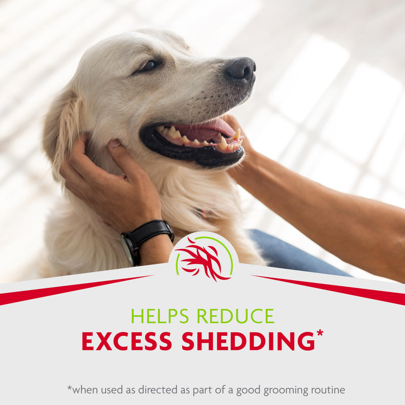 FURminator Rinse Free deShedding Foam Comb for Dogs, Waterless Foaming Shampoo, Reduces Shedding, Deodorizes, Tub-Free Experience - PawsPlanet Australia