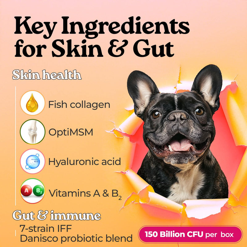 Pawbiotics Probiotics for Dogs & Cats - 7-Strain Probiotic Sticks with KT-11, Collagen & Hyaluronic Acid - Dog Skin and Coat Supplements, Gut & Immune Support - Korean Collagen, Blueberry, 30 Sticks