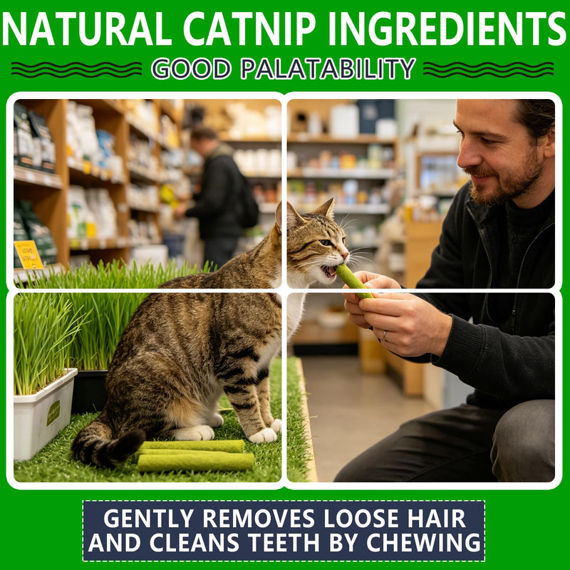 Cat Grass Teething Sticks for Indoor Cats - Freeze Dried Chew Toy for Hairball Control & Teeth Cleaning, 3oz Resealable Jar of Cat Grass Sticks 3 oz