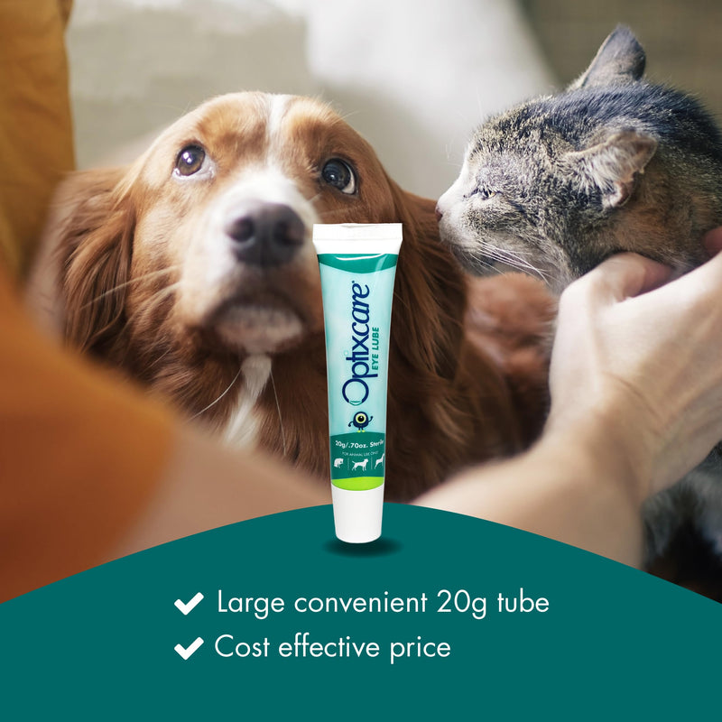 Optixcare Eye Lube 20g Lubricating Gel for Dry, Itchy & Irritated Eyes – Long‑Lasting Moisture Support After Eye Procedures