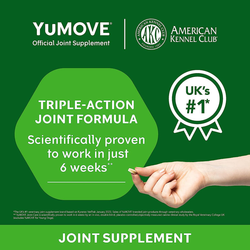 Lintbells | YuMOVE Senior Dog | High Strength Hip and Joint Supplement Designed for Older, Stiff Dogs, with Glucosamine, Chondroitin, Green Lipped Mussel | Aged 9+ | 120 Tablets Single - PawsPlanet Australia