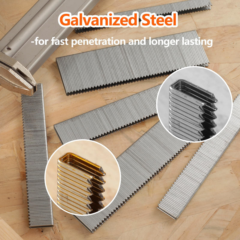 1000-Count 1/2 Inch Length, 18 Gauge 1/4 Inch Narrow Crown Staples, Heavy Duty Beveled Chiseled Pointed Galvanized Staples, for Pneumatic, Electric 18GA Stapler Gun 1/2" - NewNest Australia
