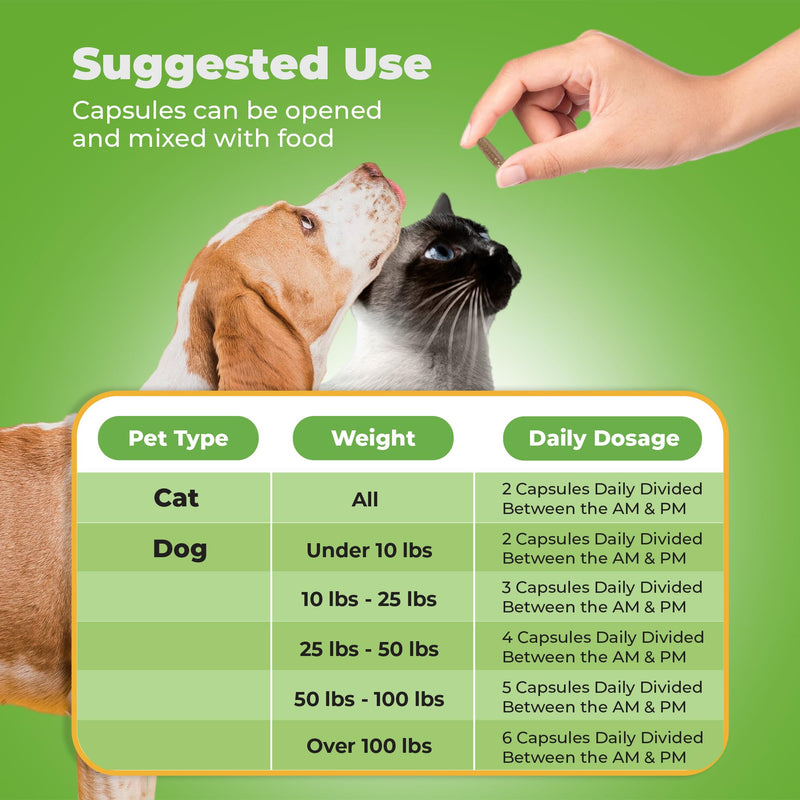 ONLY NATURAL PET Kidney Support Supplement | Supports Urinary Tract & Bladder Health w/Cranberry Extract | Incontinence Prevention (Capsules May be Opened and Contents Mixed w/Food) - 90 Capsules - PawsPlanet Australia