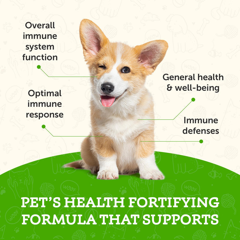 Animal Essentials Super Immune for Dogs & Cats - Immunity Support Supplement, Echinacea, Eleuthero, Olive Leaf Extract, Liquid Drops - 2 Fl Oz 2 fl oz (60 ml) - PawsPlanet Australia