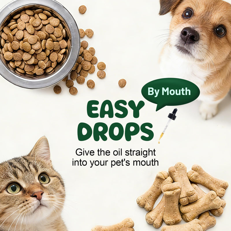 Liquid Probiotics for Dogs & Cats with Prebiotics & Digestive Enzymes - 3-in-1 Formula for Gut Digestive Health & Nutrient Absorption, Supplement Drops - 1.2 Billion CFU - 2 FL Oz