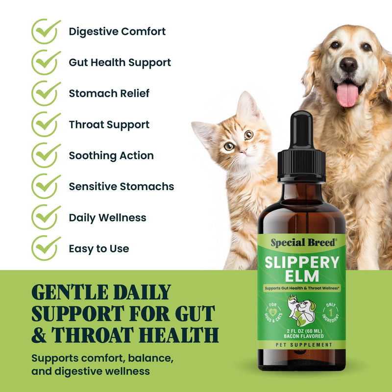Slippery Elm for Dogs and Cats - Soothing Digestive Relief and Gut Support - Stomach Comfort and Throat Support - Herbal Drops for Pets - Easy to Use - Bacon Flavored - 2 fl oz